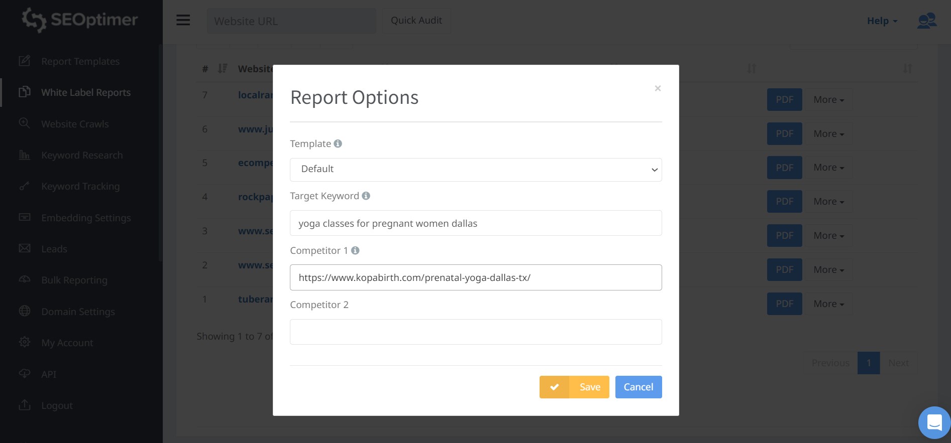 laporan audit seo pesaing